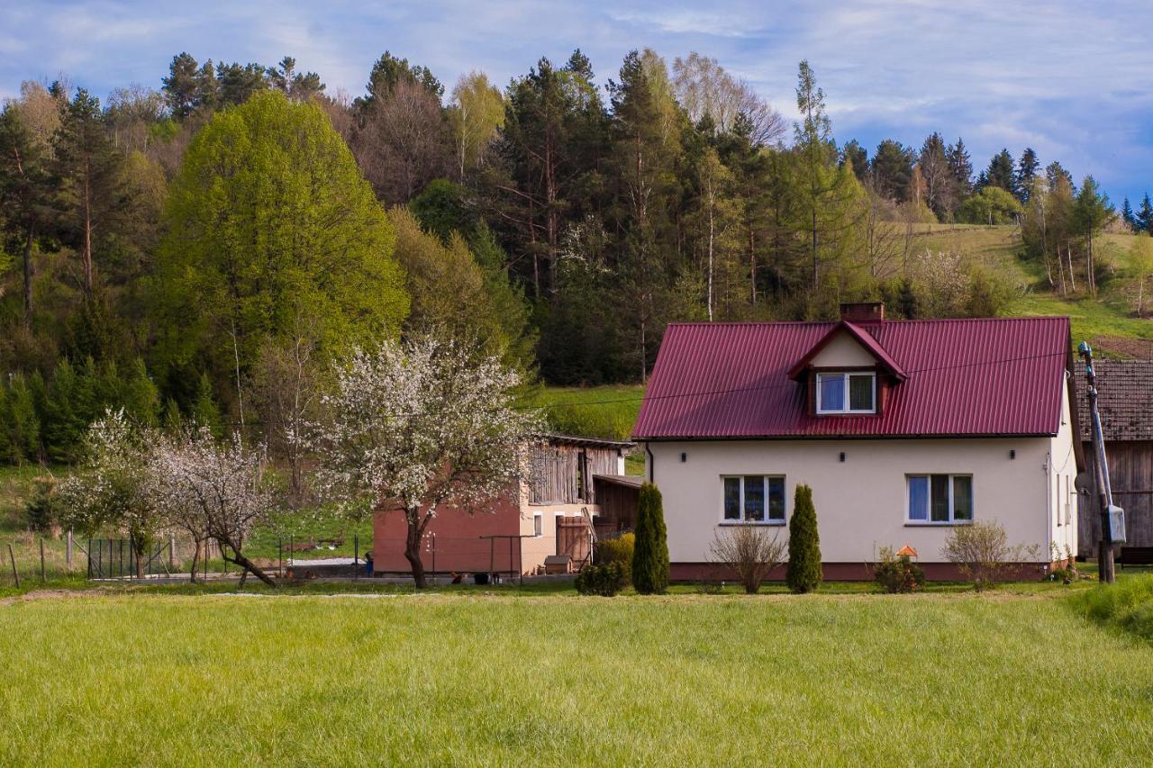U Jadzi Pogorze Przemyskie Bircza Kültér fotó